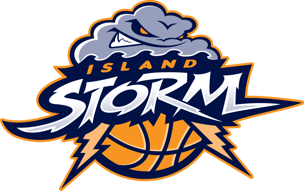 Island Storm 2013-Pres Primary Logo iron on heat transfer